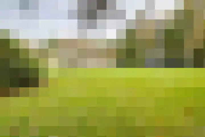 Weikamperweg 120 Hoenderloo thumbnail 60