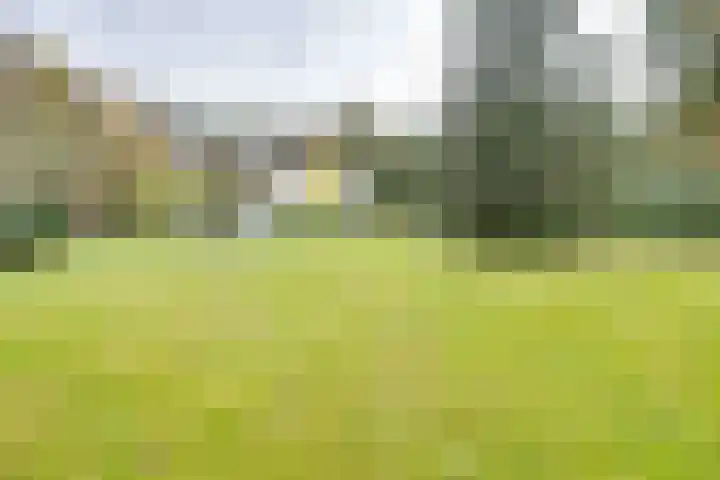 Weikamperweg 120 Hoenderloo thumbnail 66
