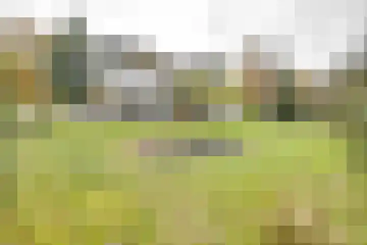 Weikamperweg 120 Hoenderloo thumbnail 67