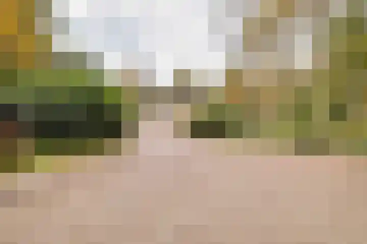 Weikamperweg 120 Hoenderloo thumbnail 70