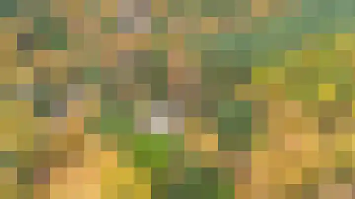Weikamperweg 120 Hoenderloo thumbnail 73