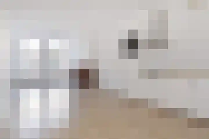 Weimarstraat 112 Den Haag foto 2