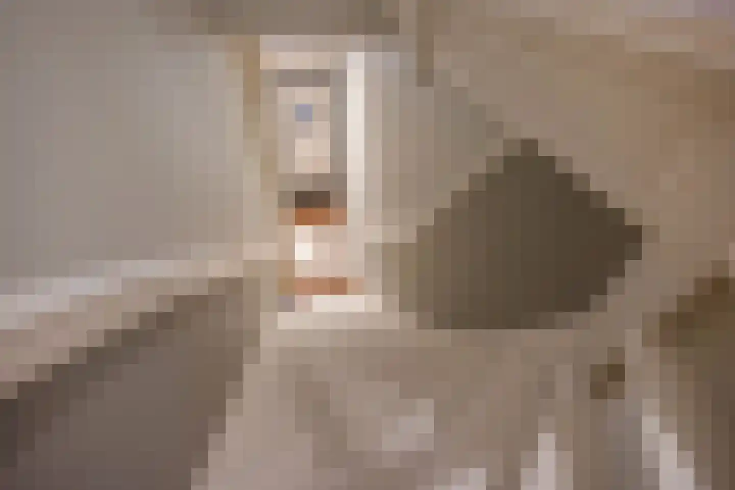 Weimarstraat 336 Den Haag foto 2