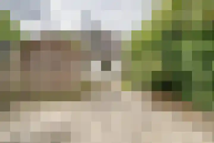 Weimarstraat 4 Apeldoorn thumbnail 21