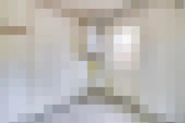 Weimarstraat 4 Apeldoorn thumbnail 9