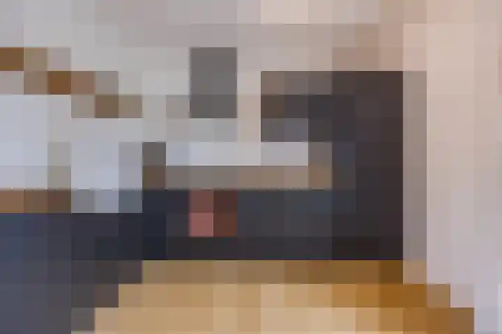 Weimerpad 3 Wernhout thumbnail 10