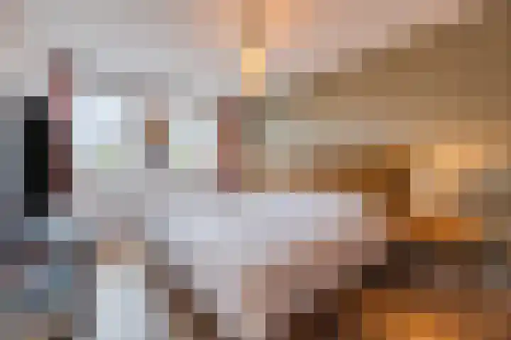 Weimerpad 3 Wernhout thumbnail 14
