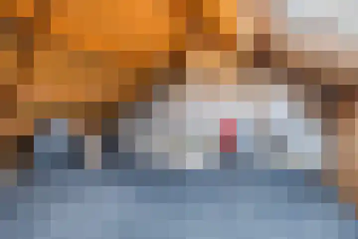 Weimerpad 3 Wernhout thumbnail 24