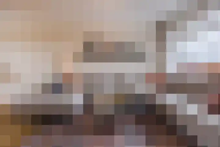 Weimerpad 3 Wernhout thumbnail 8