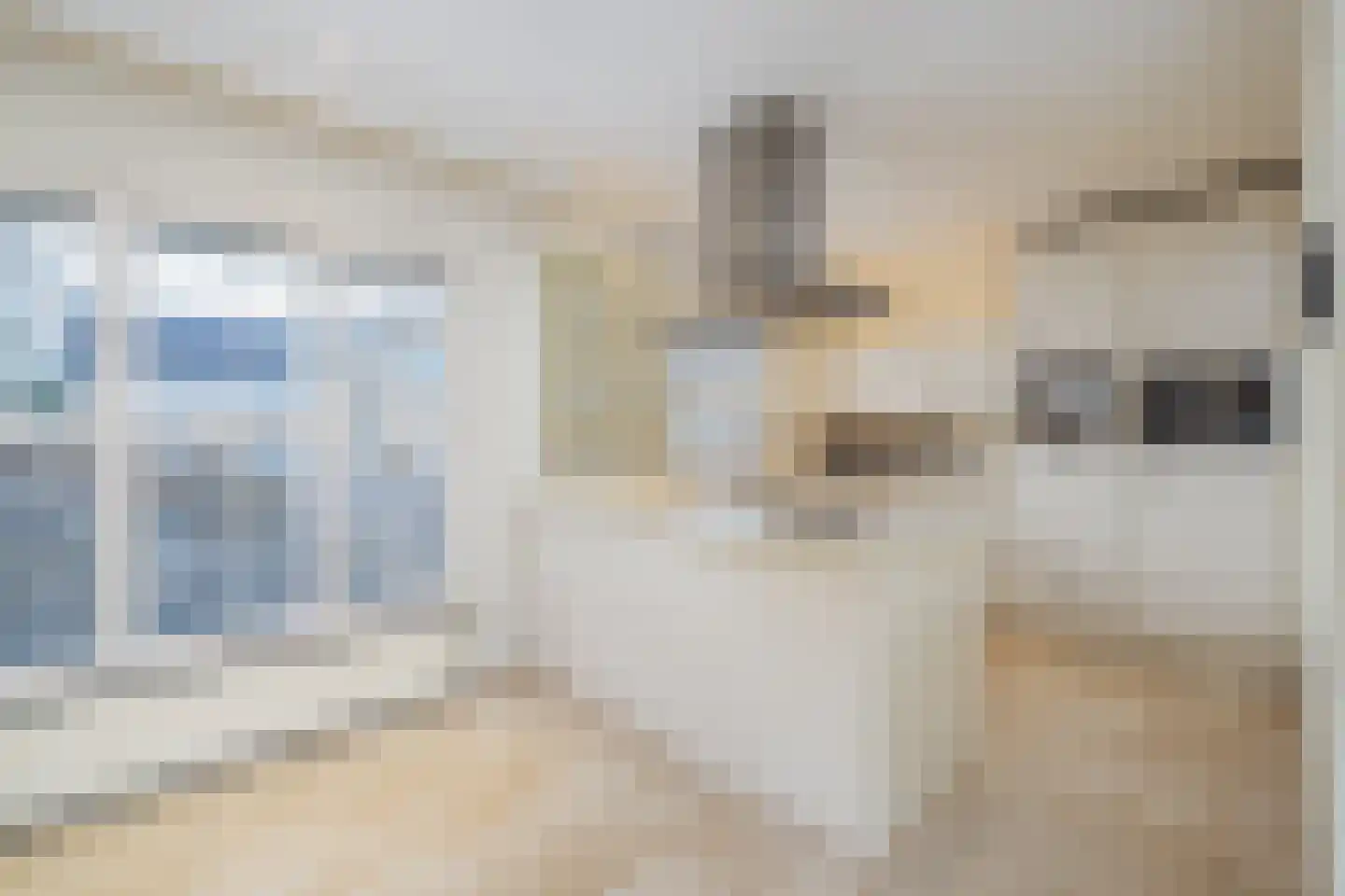 Weislag 14 's-Hertogenbosch thumbnail 10