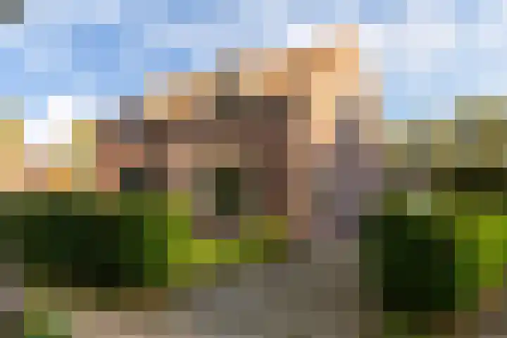 Weisleatstrjitte 6 Heeg
