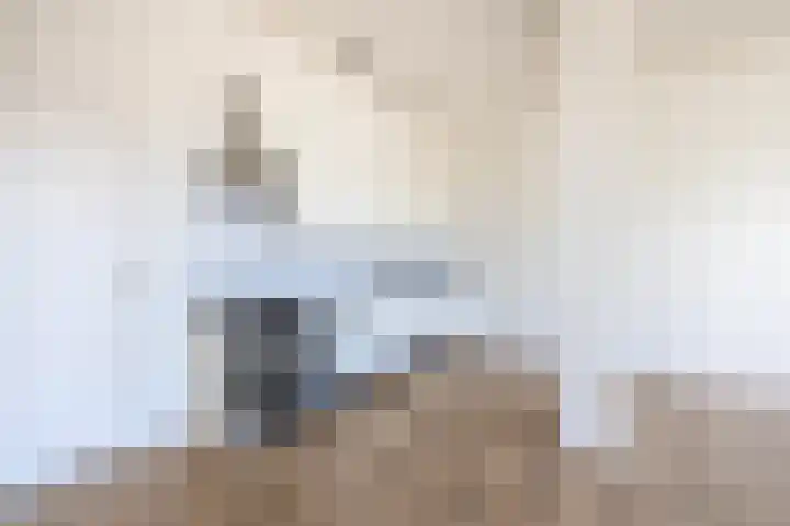 Weiver 1 A Krommenie thumbnail 15
