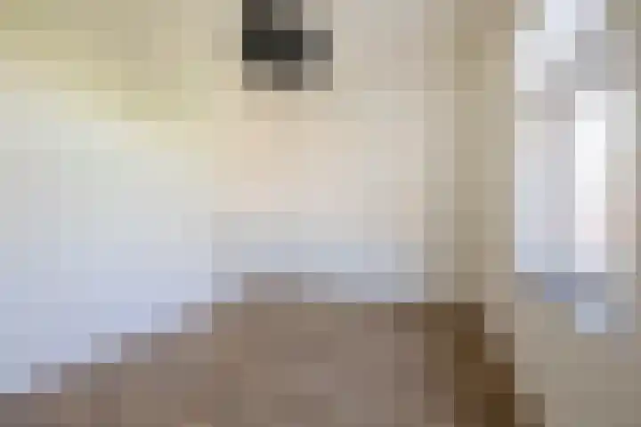 Weiver 1 A Krommenie thumbnail 20