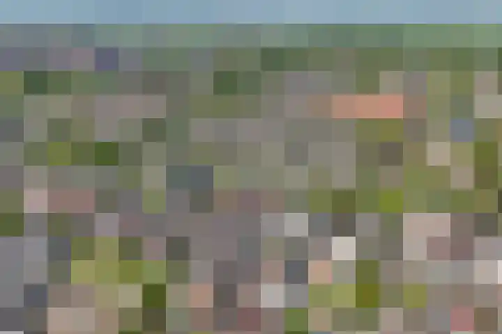 Weiver 1 A Krommenie thumbnail 33