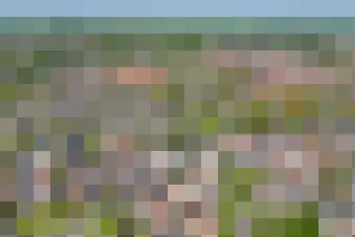 Weiver 1 A Krommenie thumbnail 34