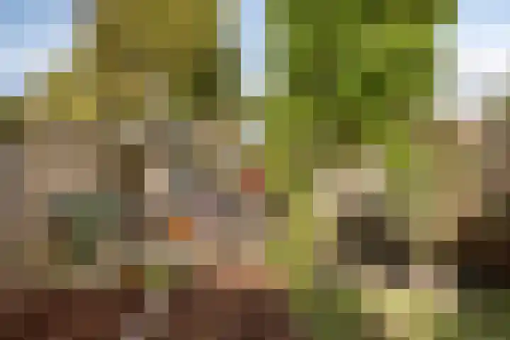 Weiver 155 Westzaan thumbnail 42