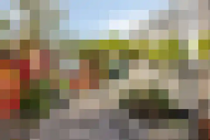 Weiver 155 Westzaan thumbnail 46