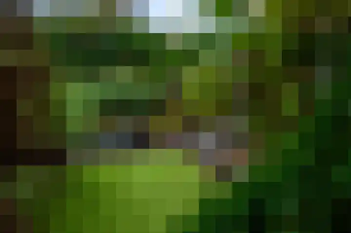 Weiver 16 Krommenie thumbnail 5