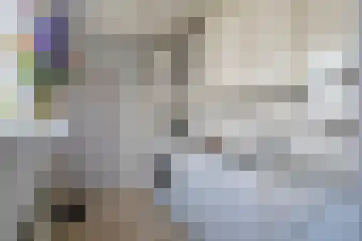 Weiver 47 Krommenie thumbnail 10