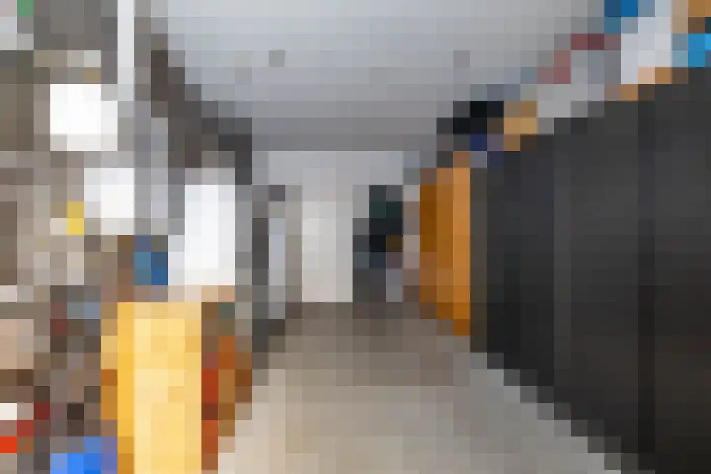 Weiwerd 9 Groningen thumbnail 23