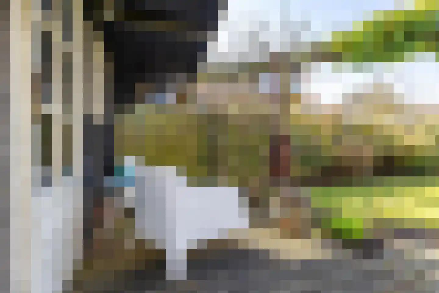 Weiwerd 9 Groningen thumbnail 29