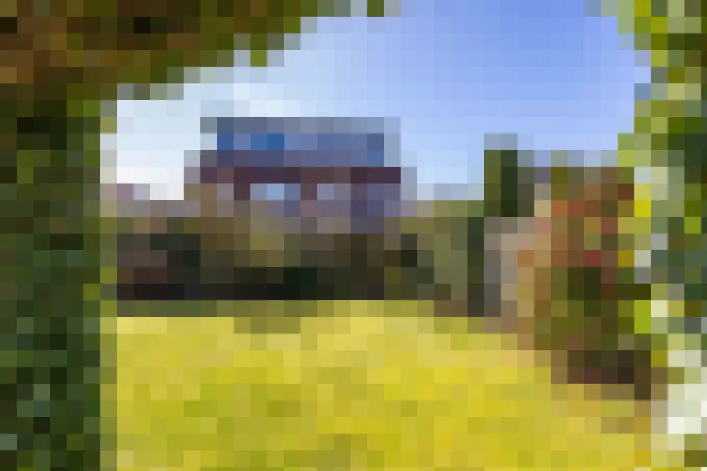 Weiwerd 9 Groningen thumbnail 31