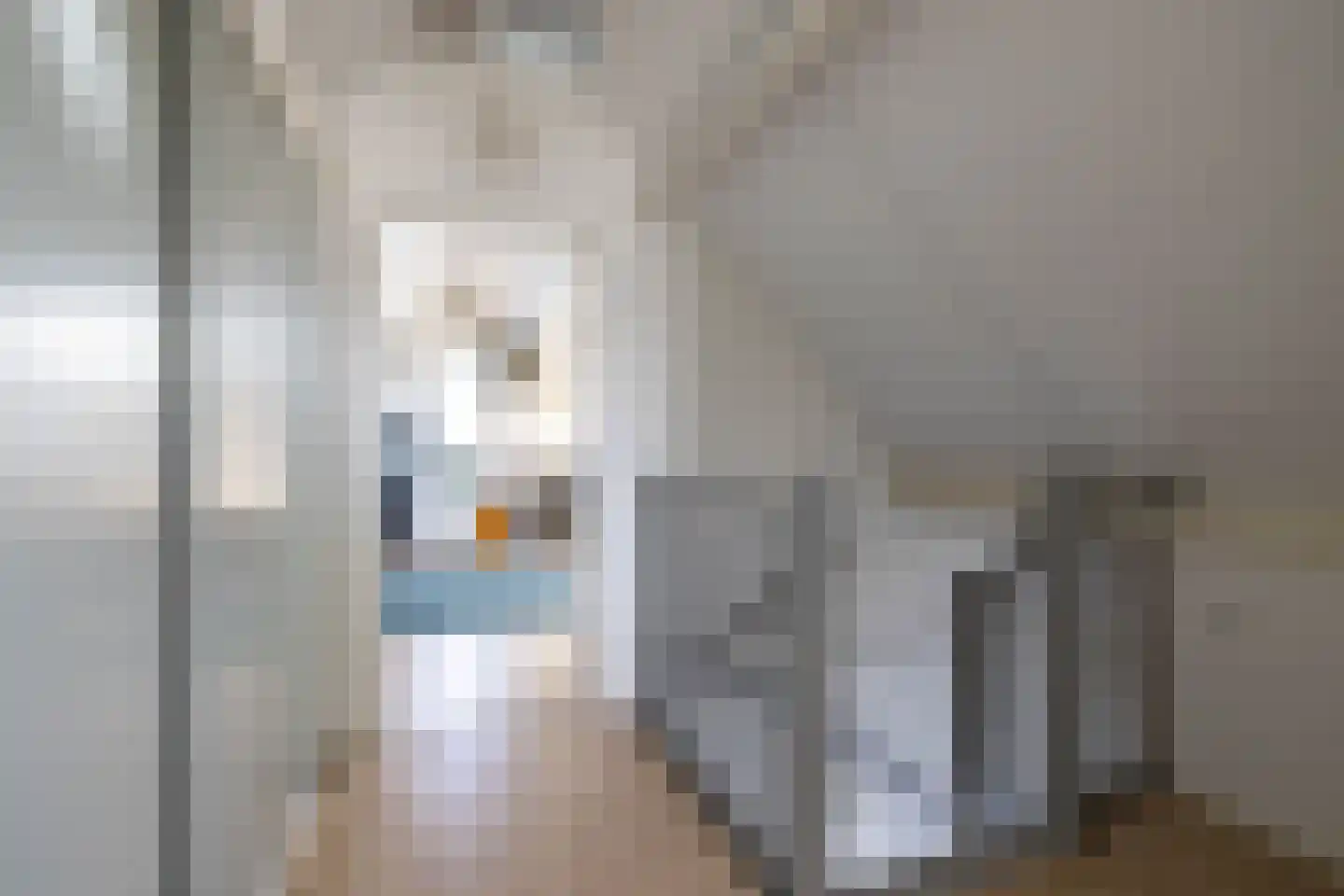 Weiwerd 9 Groningen thumbnail 45