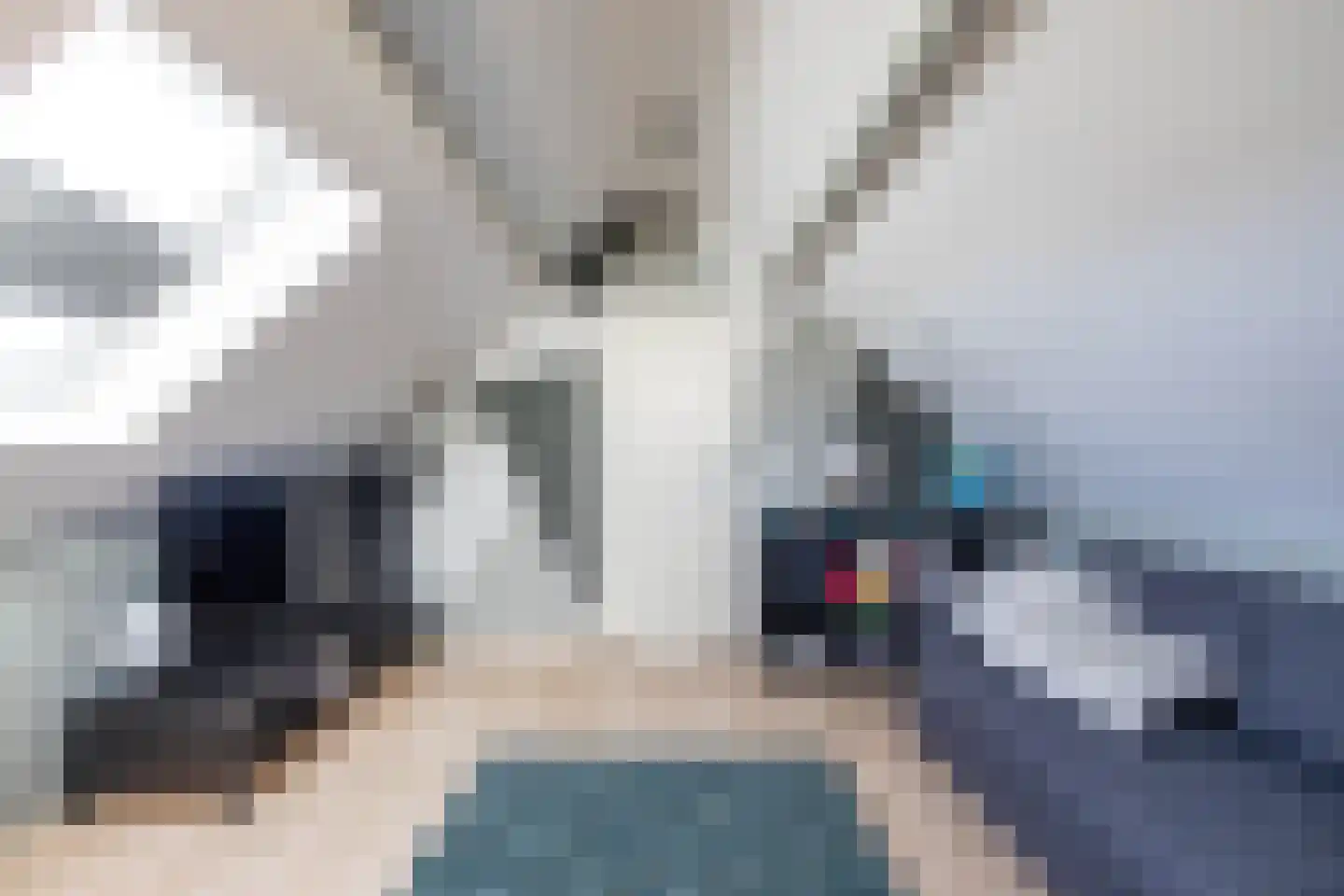 Weiwerd 9 Groningen thumbnail 47