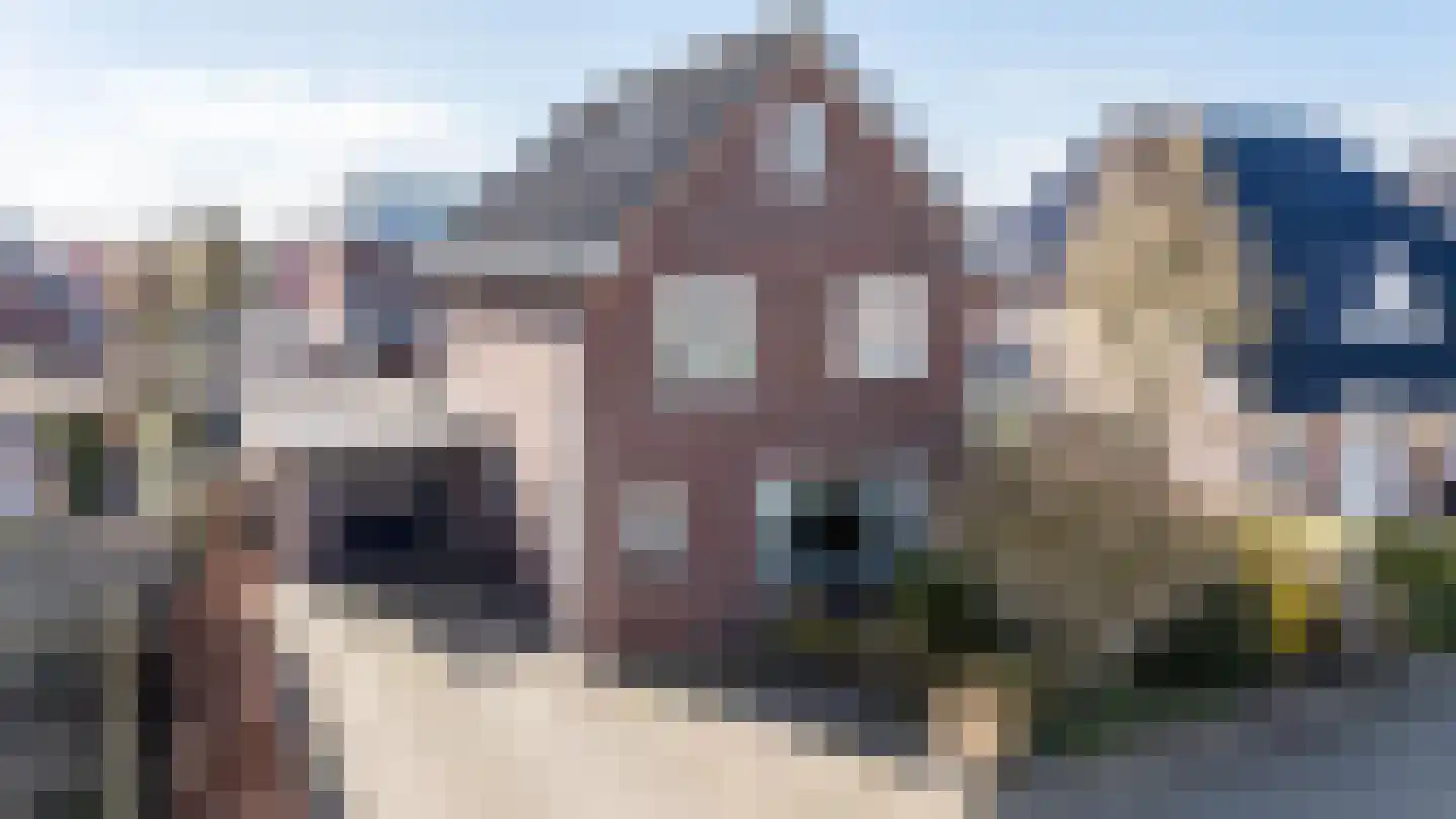 Weiwerd 9 Groningen thumbnail 51