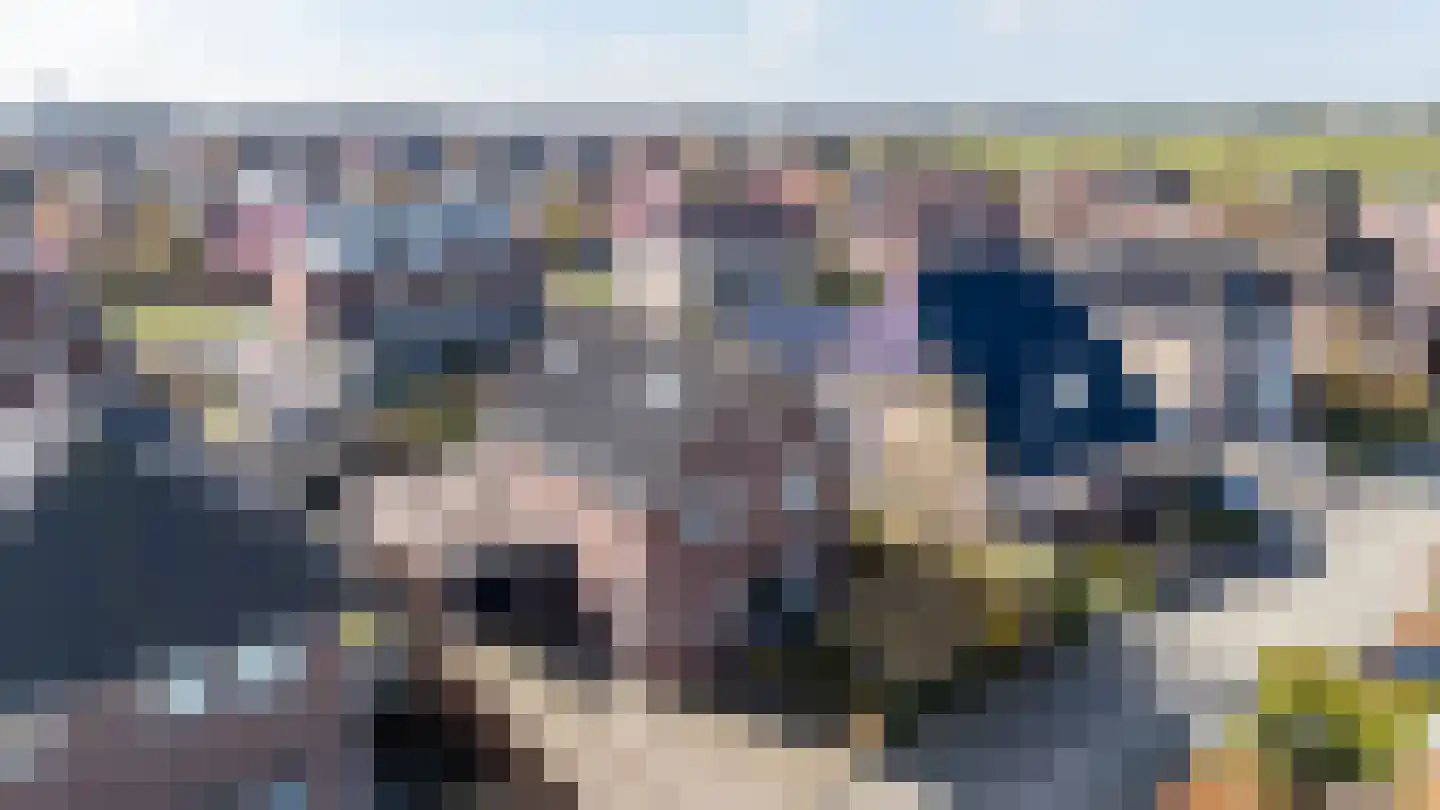 Weiwerd 9 Groningen thumbnail 52