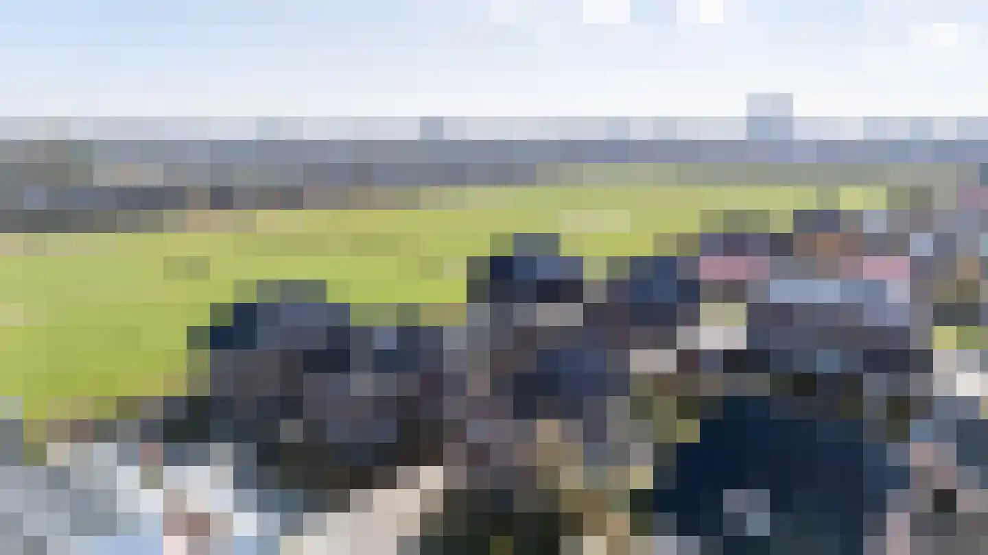 Weiwerd 9 Groningen thumbnail 53