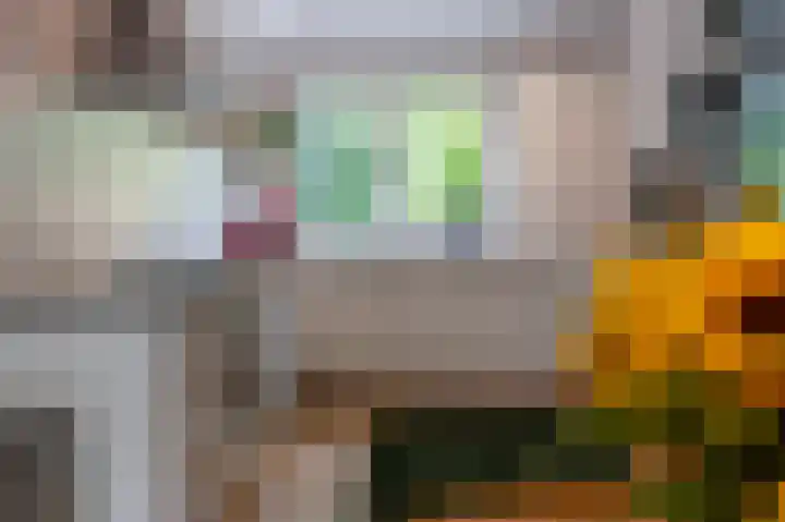 Weldadigheid 51 Tuk thumbnail 11