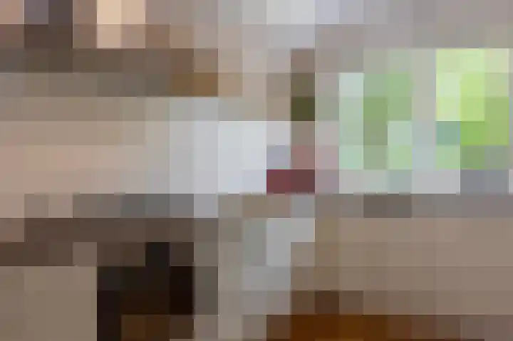Weldadigheid 51 Tuk thumbnail 14