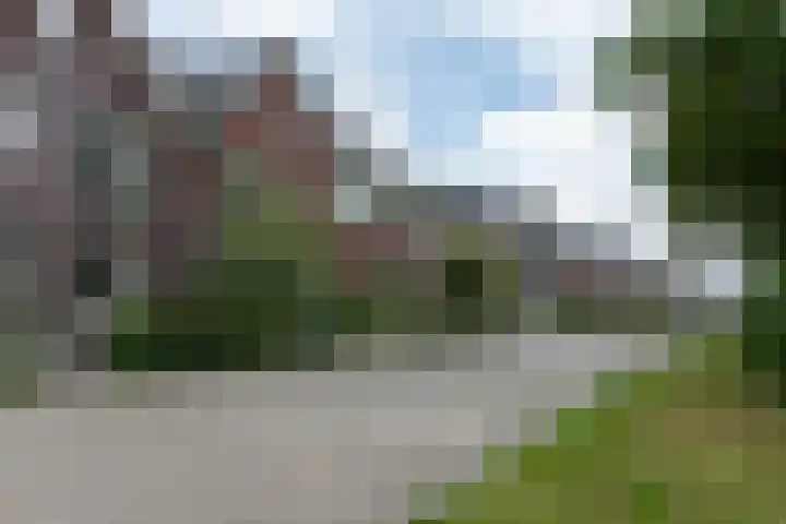 Weldadigheid 51 Tuk thumbnail 43