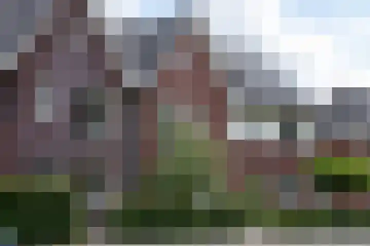Weldadigheid 51 Tuk thumbnail 50