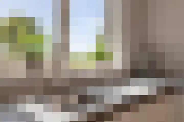Weldadigheid 57 Tuk thumbnail 18