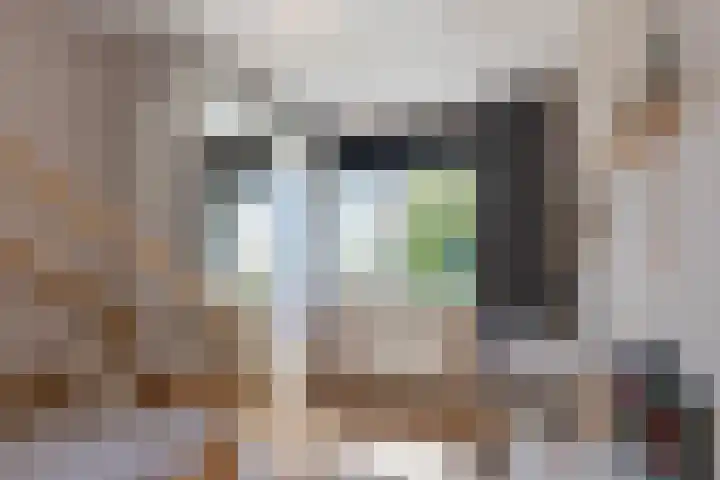 Weldadigheid 57 Tuk thumbnail 29