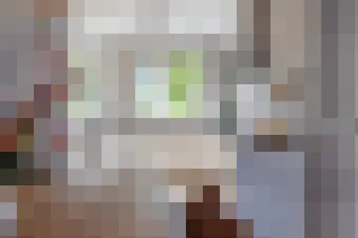 Weldadigheid 57 Tuk foto 3