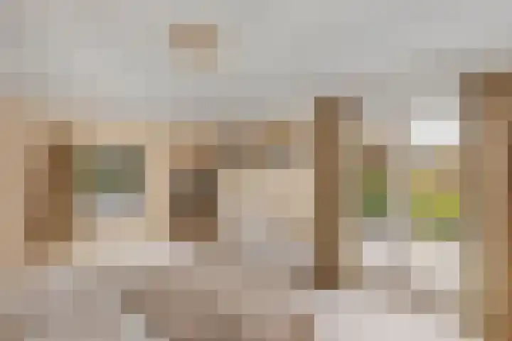 Weldam 4 Amsterdam thumbnail 25