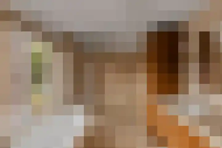 Weldam 4 Amsterdam thumbnail 26