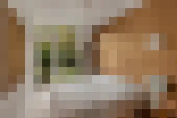 Weldam 4 Amsterdam thumbnail 34