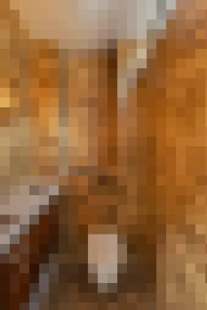 Weldam 4 Amsterdam thumbnail 37