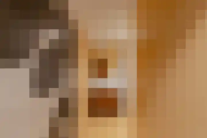 Weldam 4 Amsterdam thumbnail 40