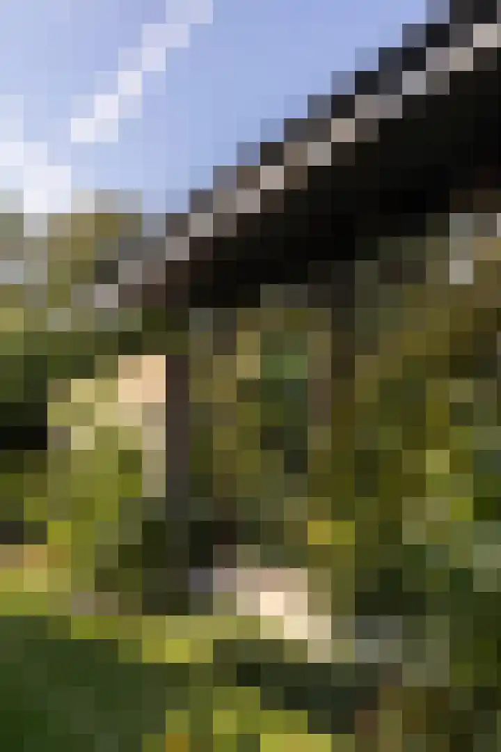 Weldam 4 Amsterdam thumbnail 43