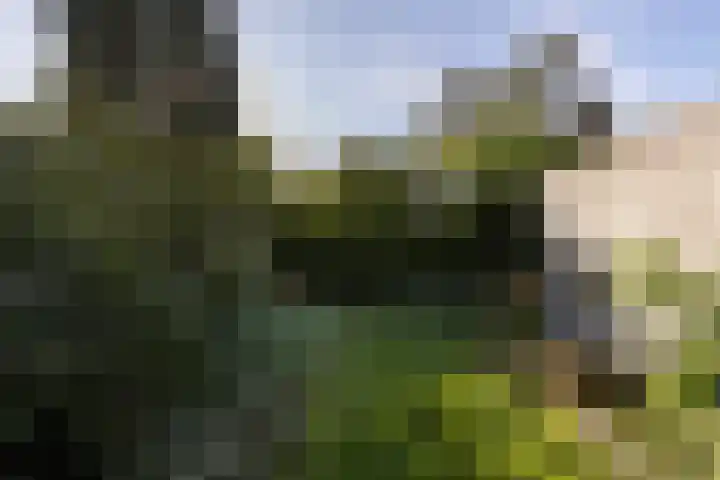 Weldam 4 Amsterdam thumbnail 44