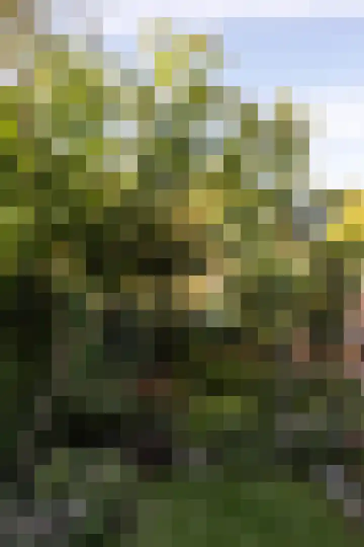 Weldam 4 Amsterdam thumbnail 45