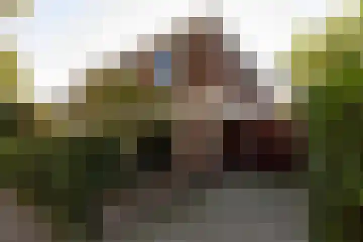 Weldam 4 Amsterdam thumbnail 46