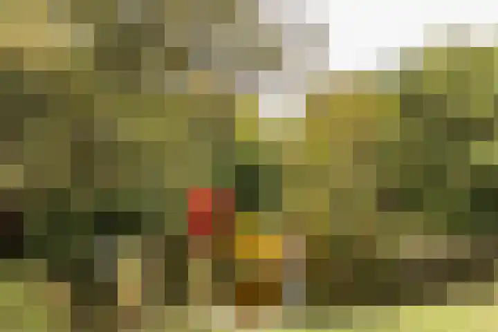 Weldam 4 Amsterdam thumbnail 47