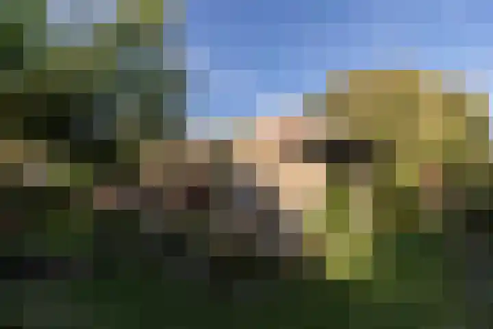 Weldam 4 Amsterdam thumbnail 5