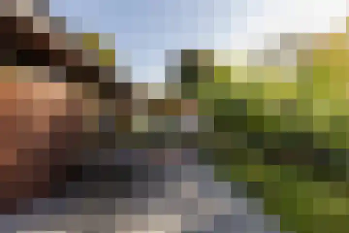 Weldam 4 Amsterdam thumbnail 7